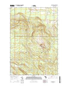 Pickford SE 2014 topographic map thumbnail