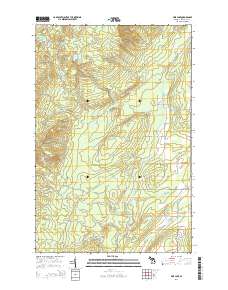 Pine Lake 2014 topographic map thumbnail