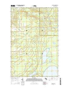 Rice Lake 2014 topographic map thumbnail