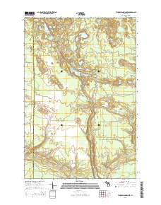 Tahquamenon Lakes 2014 topographic map thumbnail