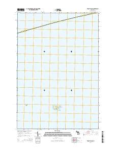 Trout Island 2014 topographic map thumbnail