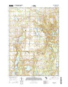 Trufant 2014 topographic map thumbnail