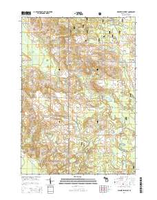 Walkerville West 2014 topographic map thumbnail
