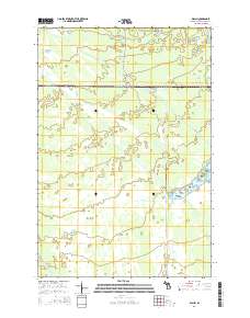 Walsh 2014 topographic map thumbnail