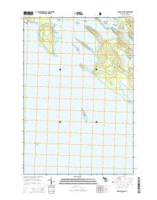 Goose Island 2014 topographic map thumbnail
