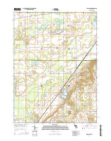 Twin Lakes 2014 topographic map thumbnail