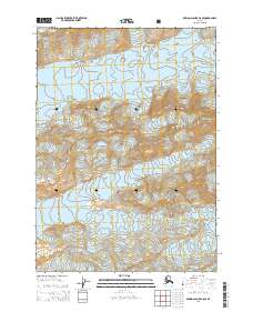 Bering Glacier C-8 SE 2014 topographic map thumbnail