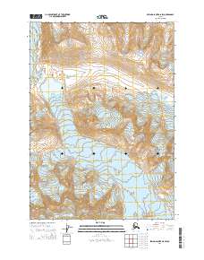 Bering Glacier D-6 SW 2014 topographic map thumbnail