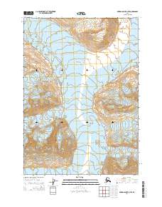 Bering Glacier D-7 SE 2014 topographic map thumbnail