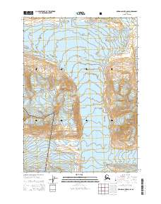 Bering Glacier D-8 SE 2014 topographic map thumbnail