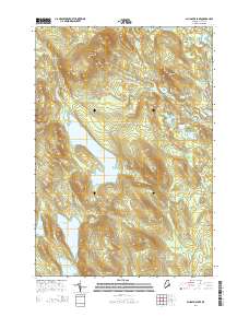 Alligator Lake 2014 topographic map thumbnail
