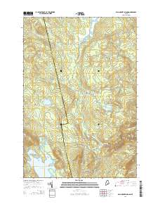 Bald Mountain Pond 2014 topographic map thumbnail