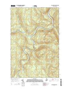 Big Black Rapids 2014 topographic map thumbnail