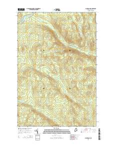 Blue Brook 2014 topographic map thumbnail