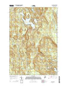 Bog Lake 2014 topographic map thumbnail