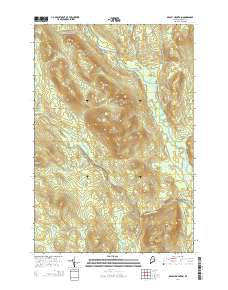 Deasey Mountain 2014 topographic map thumbnail