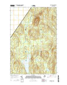 Depot Lake 2014 topographic map thumbnail