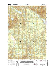 Dimmick Mountain 2014 topographic map thumbnail