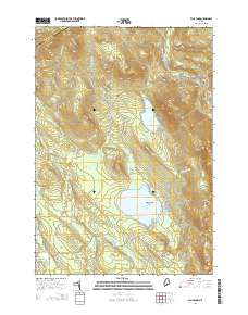 Ellis Pond 2014 topographic map thumbnail