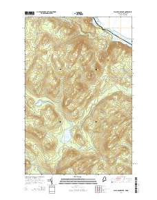 Falls Brook Lake 2014 topographic map thumbnail