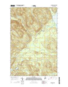 Island Pond 2014 topographic map thumbnail