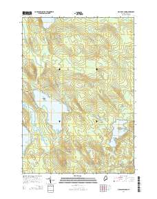 Molasses Pond 2014 topographic map thumbnail