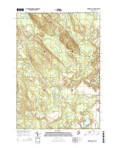 Montegail Pond 2014 topographic map thumbnail