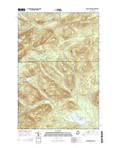 Mooseleuk Lake 2014 topographic map thumbnail