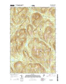 Mud Lake 2014 topographic map thumbnail