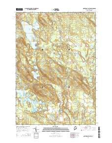 Northeast Bluff 2014 topographic map thumbnail