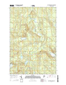 Pine Stream Flowage 2014 topographic map thumbnail