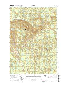 Tomah Mountain 2014 topographic map thumbnail