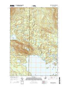 Trout Mountain 2014 topographic map thumbnail
