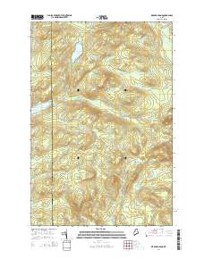 Wadleigh Pond 2014 topographic map thumbnail