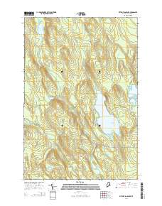 Wytopitlock Lake 2014 topographic map thumbnail