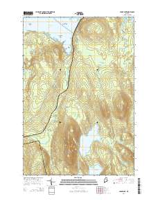 Cedar Lake 2014 topographic map thumbnail