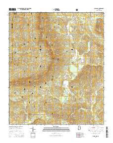 Bulls Gap 2014 topographic map thumbnail
