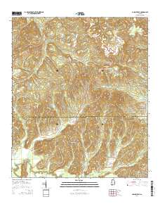 Carlowville 2014 topographic map thumbnail