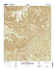 Forest Home 2014 topographic map thumbnail