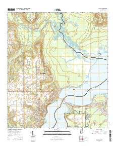 Lillian 2014 topographic map thumbnail