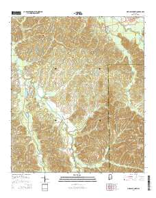 Pine Apple North 2014 topographic map thumbnail