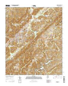 Oneonta 2014 topographic map thumbnail