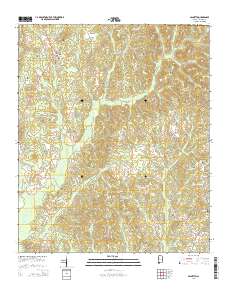 Palmetto 2014 topographic map thumbnail