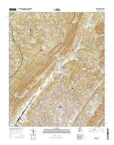 Pinson 2014 topographic map thumbnail