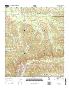 Union Springs 2014 topographic map thumbnail