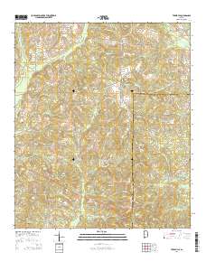Texasville 2014 topographic map thumbnail