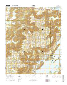Swearengin 2014 topographic map thumbnail