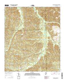 Pine Apple South 2014 topographic map thumbnail