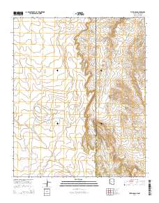 The Rincon 2014 topographic map thumbnail