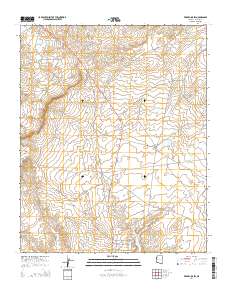 Wide Ruins SW 2014 topographic map thumbnail